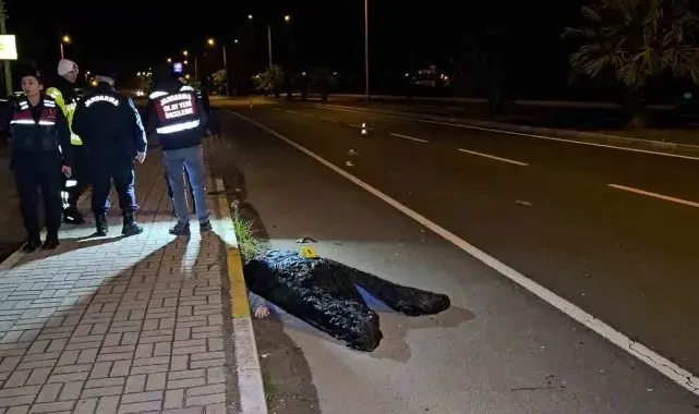 Feci kaza kamerada: Kardeşini korumak isteyen ağabey, otomobilin çarpmasıyla hayatını kaybetti