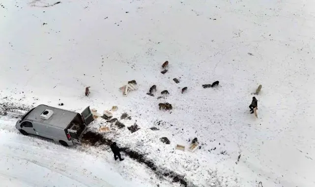 Suriye'den dönen balıklar hayvanlara yem oldu