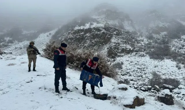 Bingöl'de jandarma ekipleri hayvanlar için doğaya yem bıraktı