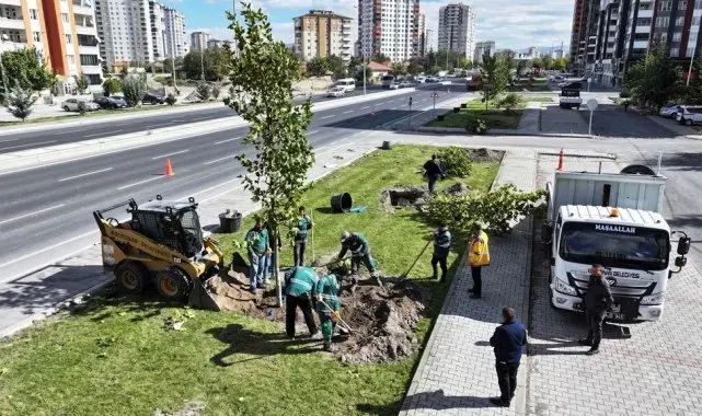 Başkan Çolakbayrakdar: "Yeşil alanda dünya standardını 3'e katlayacağız"