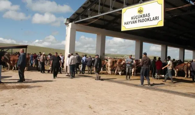 Bayburt'taki hayvan pazarlarında şap karantinası