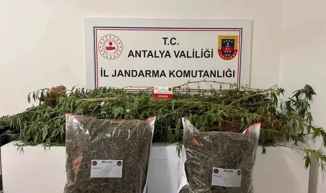 Alanya'da narkotik operasyonları
