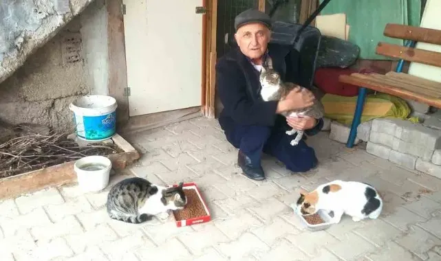 Hisarcık'ta emekli gece bekçisi sokak kedilerini besliyor