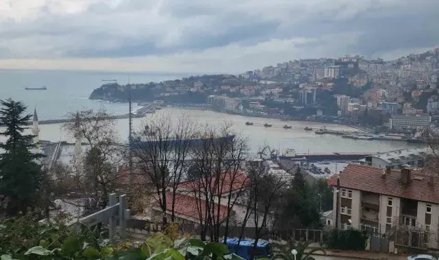 Zonguldak Limanı sarı renge boyandı