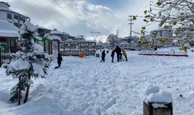 Bolu'da 4 ilçede kar tatili