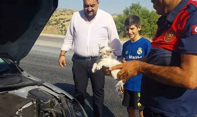 Otomobilin motoruna sıkışan kedi kurtarıldı