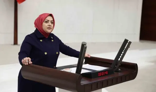 Milletvekili Ün, Denizli ihracatçısının lojistik sorununu Meclise taşıdı