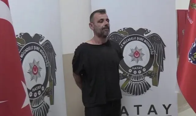 Reyhanlı'da 53 kişinin hayatını kaybettiği saldırıda patlayıcıları Türkiye'ye sokan terörist yakalandı