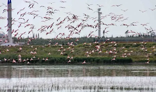 NÖHÜ, Dünya Yeşil Kampüs sıralamasında ilk 300'e girdi