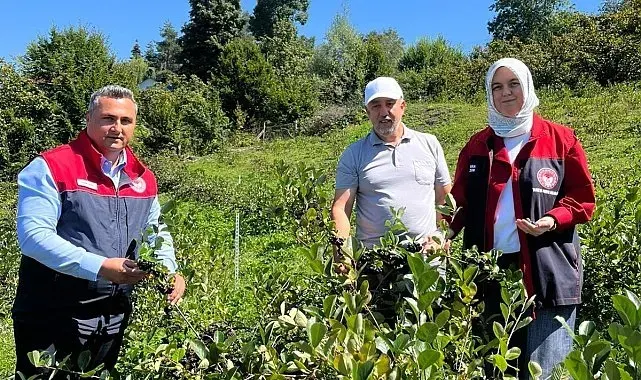 Düzce'de üretiminde yeni hedef katma değerli ürünler