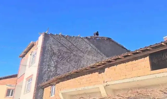 Fırtına Adıyaman'da çatıları uçurdu, ağaçları söktü