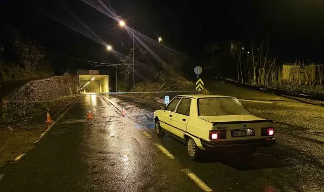 Artvin'de etkili olan fırtına nedeniyle bir ağaç okulun üzerine devrildi