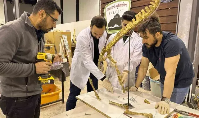 7,5 milyon yıllık fosil kazıları dünya paleontoloji tarihine ışık tutuyor