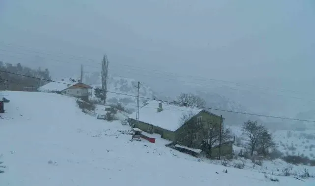 Posof'ta kar yağışı ve sis etkili oluyor