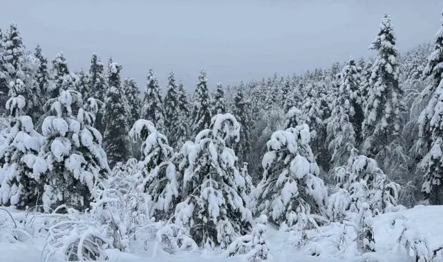 Karabük'te sis ve kar yağışı devam ediyor
