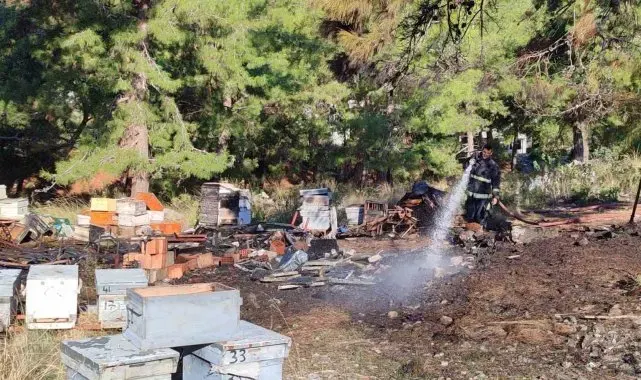Mezarlıkta yangın çıktı, yanan 15 kovandaki arılar telef oldu