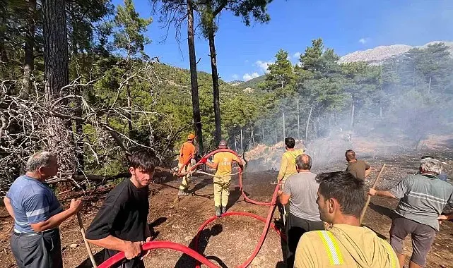 Beşkonak'ta kopan enerji nakil hattı orman yangınına neden oldu