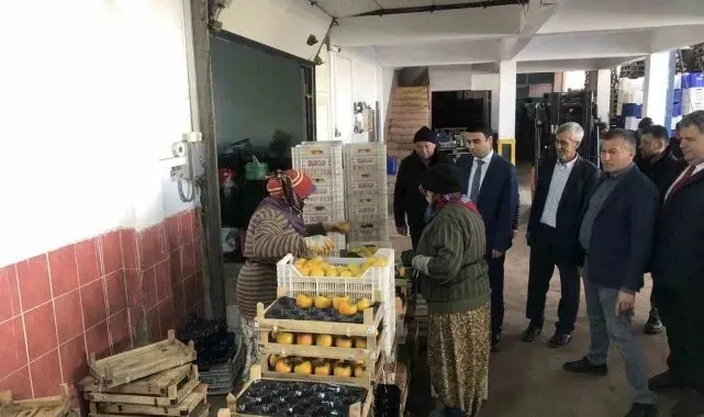 Türkiye'nin dört bir yanına bu soğuk hava deposundan meyveler gidiyor