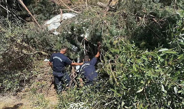 Bilecik'te kontrolden çıkan otomobil şarampole uçtu