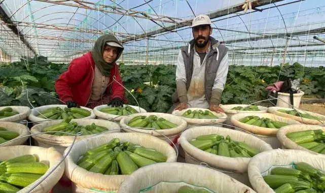 Suriye'den kaçıp Türkiye'de evlenen çift: "Esad'ın yaptığını bize gavur yapmadı"