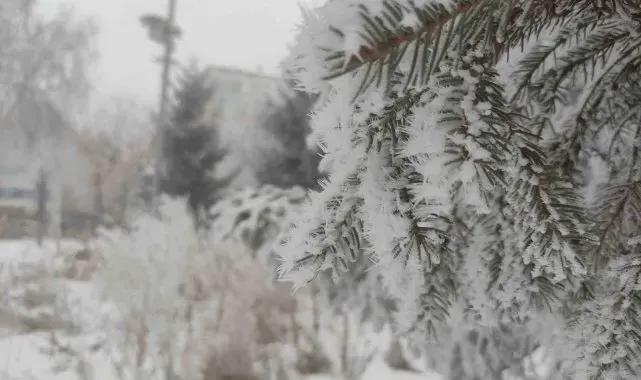 Sibirya soğukları Ardahan'ı dondurdu