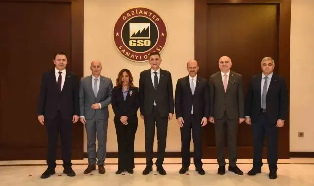 UNDP heyetinden GSO'ya ziyaret