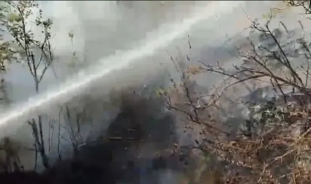 Osmaniye'de çıkan orman yangını söndürüldü