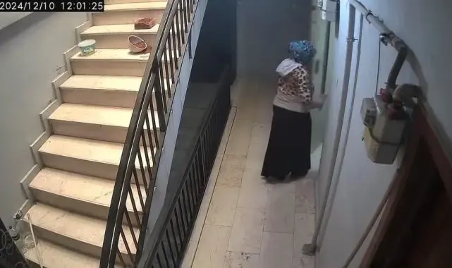 İnegöl'de hırsızı köpek engelledi...O anlar kamerada