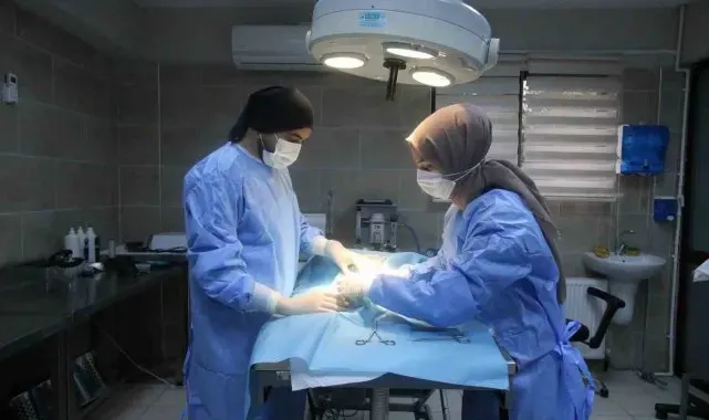Yaralı halde bulunmuştu, adını portakal koydular