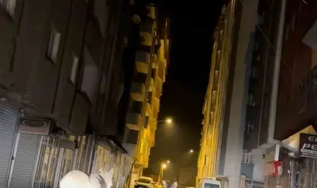 Yüksekova'da caddede yürüyen başıboş eşekler görenleri gülümsetti