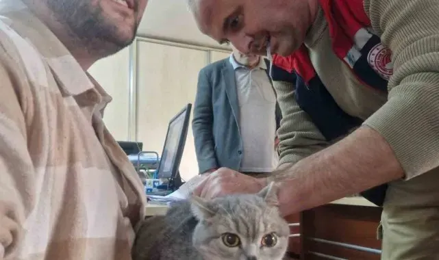 Söke ilçe tarımdan 'çipleme' çağrısı