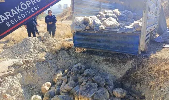 Şanlıurfa'da bozuk 4 ton sakatat imha edildi