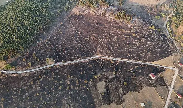 Bolu'da ormana sıçrayan yangın kontrol altına alındı: Yanan alan havadan görüntülendi