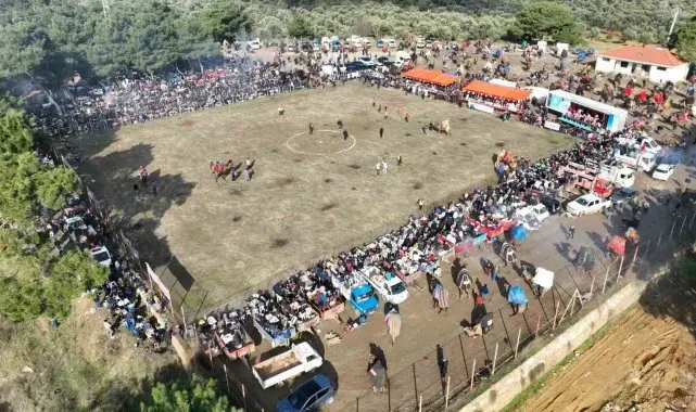 Pelitköy'de deve güreşi coşkusu