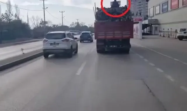 Kereste yüklü kamyonun üstünde ölüme meydan okudular