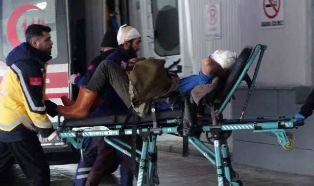 Besi çiftliğinde taşlı sopalı kavga: 6 yaralı