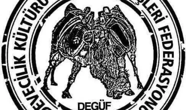 Köşk'teki deve güreşleri iptal edildi