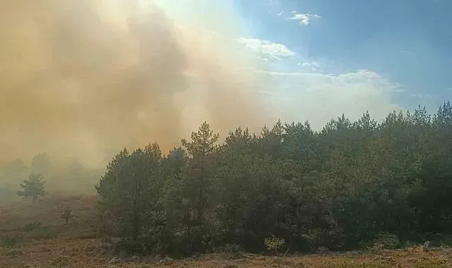 Bolu'da anız yangını ormana sıçradı: 2 helikopter sevk edildi