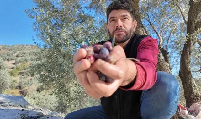 Nakil iki koluyla sorunsuz hasat yapıyor
