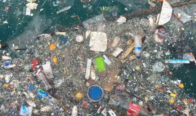 Akdeniz'de oksijen seviyesini düşüren kirlilik: Mersin ve İskenderun körfezleri öne çıkıyor
