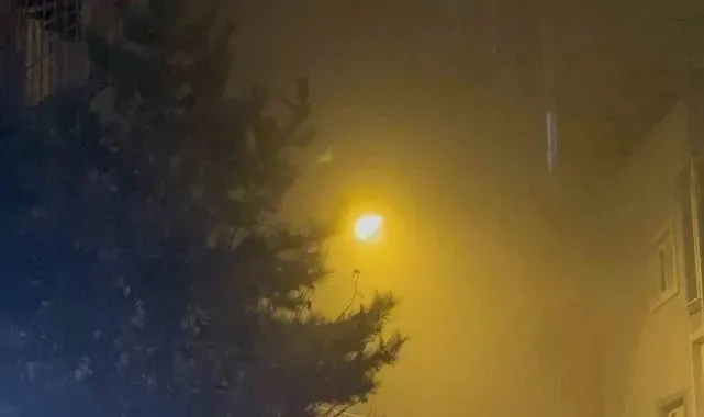 Tatvan'da yoğun sis etkili oldu