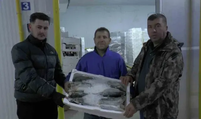 Kayseri'den 6 ülkeye 10 bin 500 ton balık ihracatı