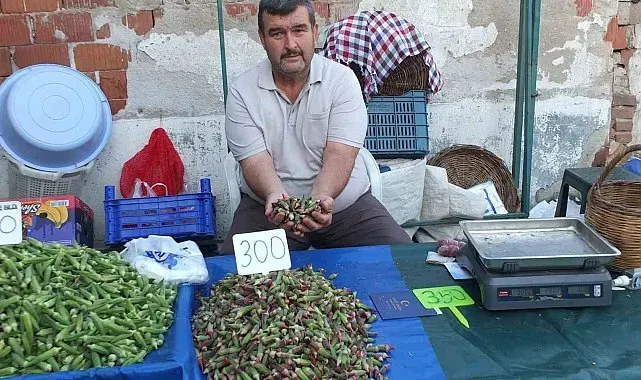 Burhaniye'de kınalı bamya ilgi gördü