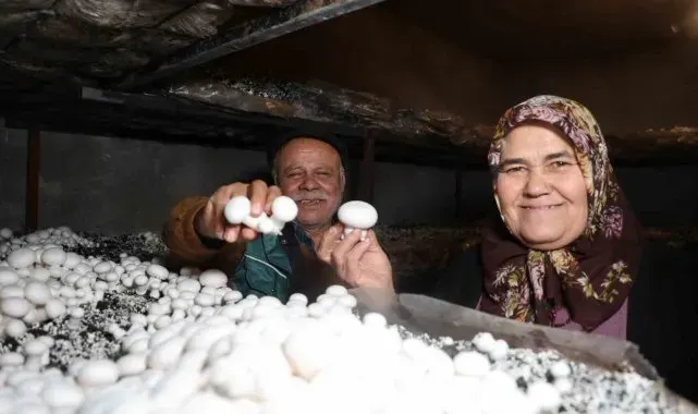 Emekli olunca hobisi ekmek teknesi oldu