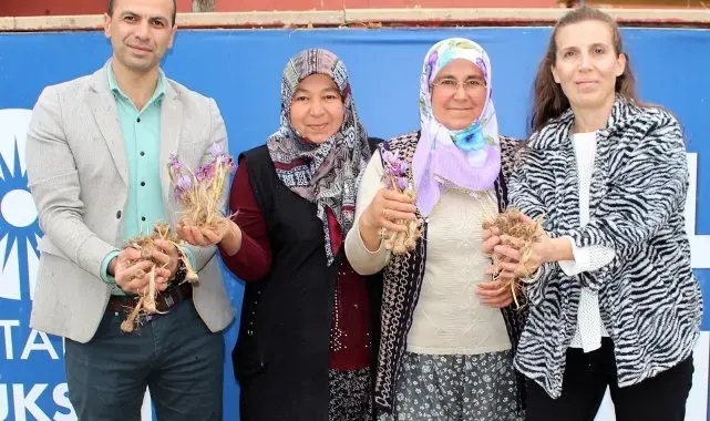 Elmalı'da safran soğanı dağıtımı yapıldı
