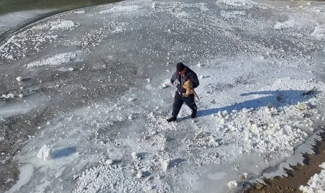 Bayburt'ta buz tutan nehre giren kediyi itfaiye kurtardı