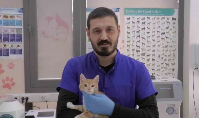 Kırsal bölgelerde yaşayan vatandaşlar 'kurt' uyarısı