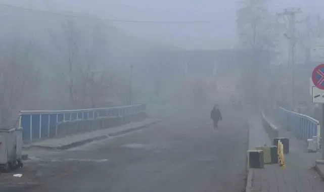 Kars'ta yoğun sis etkili oldu
