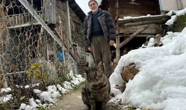 Artvin'de mezrada mahsur kalan kedileri için karlı yolları aşarak yiyecek taşıyor
