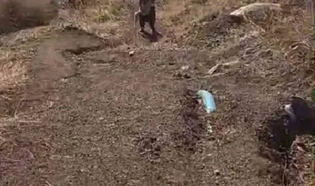 80 yaşındaki Tayyibe nine kümesine dadanan tilkiyi suçüstü yakaladı